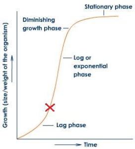 growth-curve2